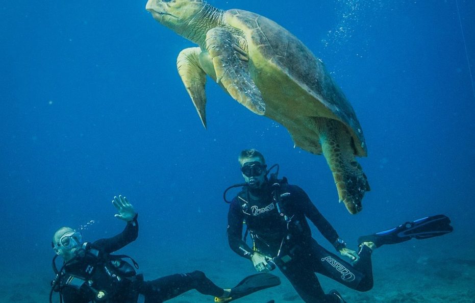AZURA BENGUERRA ISLAND