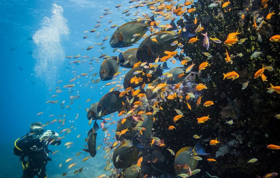 AZURA BENGUERRA ISLAND