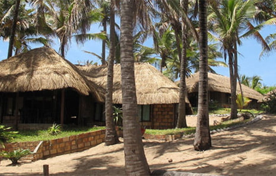 PALM RESORT