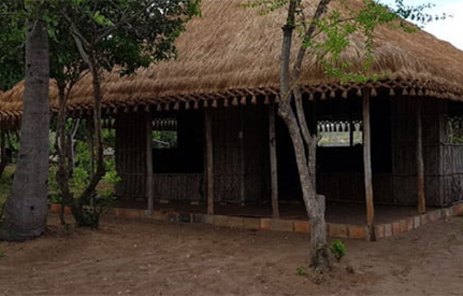 PALM RESORT