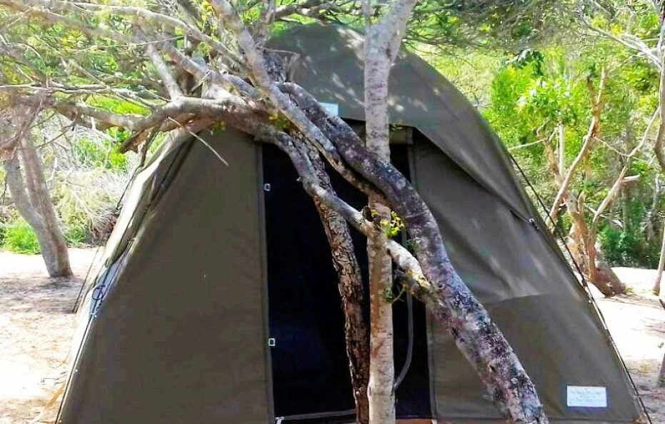 Glamorous Camping (Glamping)
