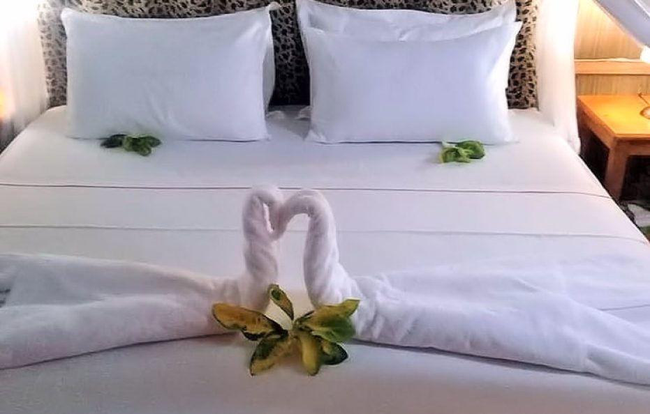 Deluxe Junior Suite – Chalet T1