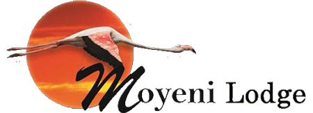 MOYENI LODGE