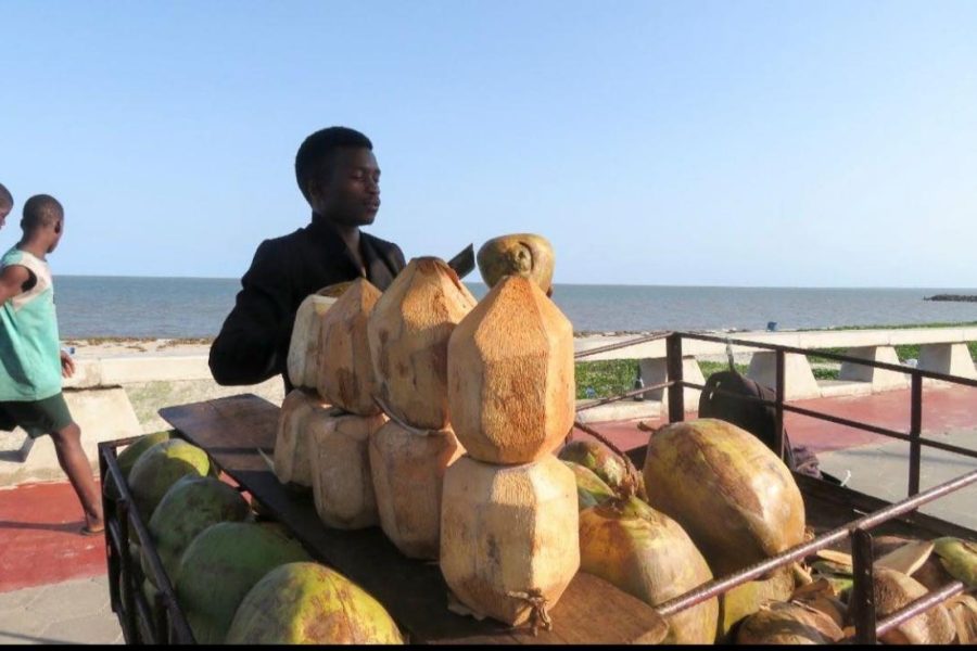 Flavours of Mozambique Food Tour