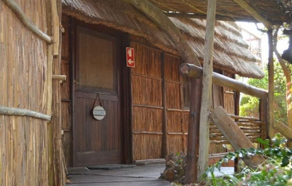 Tiger Shark house