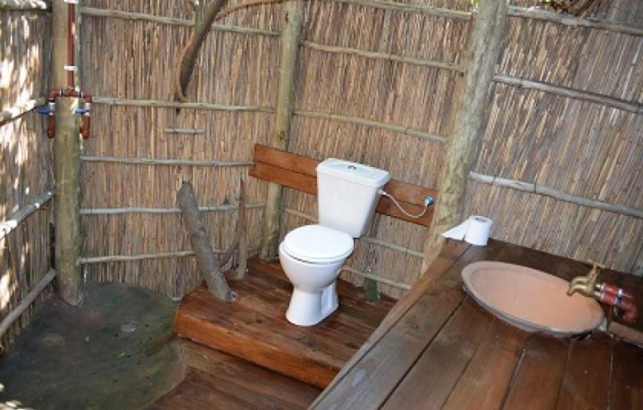 Tiger Shark house