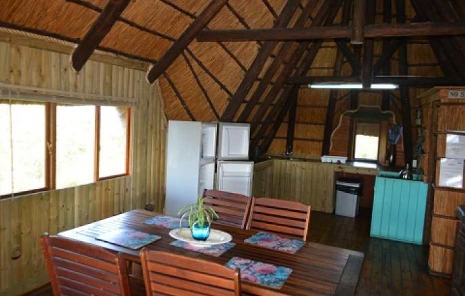 Zambezi Shark house