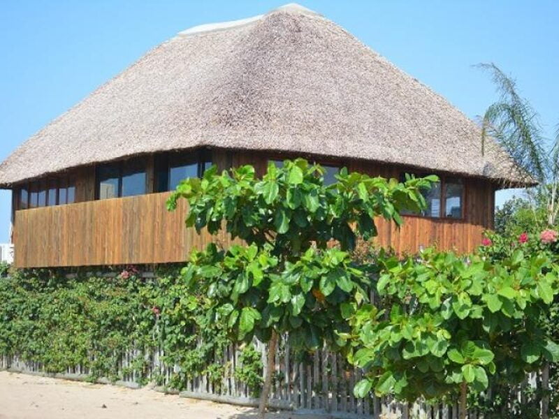 Zambezi Shark house