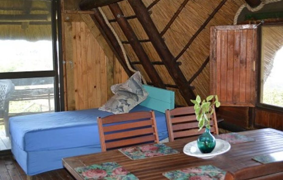 Zambezi Shark house